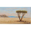 Original oil painting of a Quiver tree in Northern Cape / Namibia by A. MARX