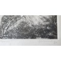 Original unframed etch 1/5 `Phoenix` by Gerrit van Schouwenburg as per photos