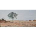 Oil painting by BASIL BARNETT of the Karoo