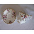 Royal Albert Cottage Garden Coffee Duo