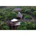 Eastern Cape: Tree Tops Safari Lodge - 2 Nights for 2 Full Board