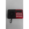 Portable Radio + MP3 Player -  FM Radio With TF(SD) Card Reader and built in speaker