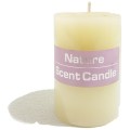 Candle - Nature Scent Candle - CLEARANCE PRICE!!!!