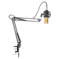 Microphone + Stand -  3.5mm Jack PC/Mobile Condenser Microphone with Desk Clamp Stand