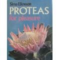 Proteas For Pleasure - Sima Eliovson