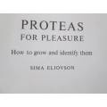Proteas For Pleasure - Sima Eliovson