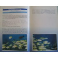 Costal Fishes of the Indian Ocean - Brent Addison and Jeremy Tindall - Hardcover - 152 Pages