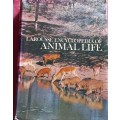 Larousse Encyclopedia of Animal Life - Paul Hamlyn London - Hardcover - 640 Pages