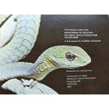 Poisonous South African Snakes and Snakebite - Dept. of Health - Softcover - 61 pgs in Eng & AFr