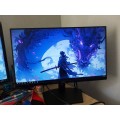 Dell 22 inch monitor