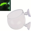 Aquatic Glass Bowl for Fish Tank