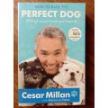 How to Raise the Perfect Dog: Through Puppyhood and Beyond by Cesar Millan