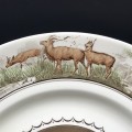 Early Royal Doulton `Cecil Rhodes` Plate