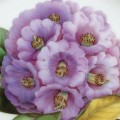 Scarce Spode `Rhododendron` Flower Plate