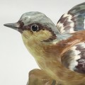 Crown Staffordshire `J.T. Jones` Bird Figure (Chaffinch)