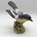 Crown Staffordshire `J.T. Jones` Bird Figure (Shrike)