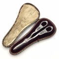 Antique Sterling Silver Grape Scissors (Cased)