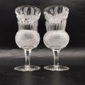 Scarce Pair of Large `Edinburgh` Crystal Thistle Wine Glasses