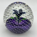 Vintage Caithness `Flower in the Rain` Glass Paperweight