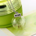 Delightful Handmade Real Dandelion Seeds Pendant Necklace