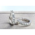 MAGNIFICENT!! Simulated Diamond Hoop Earrings