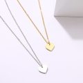 Titanium Hearts Necklace 45 cm *R 899* (GOLD/SILVER)