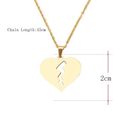 Retail Price: R 999 Titanium Heart Necklace  45 cm (GOLD)