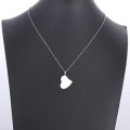 Retail Price: R 899 (NEVER FADE) Titanium "Blank Heart" Necklace 45 cm (SILVER ONLY)
