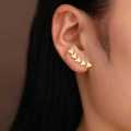 Retail Price R599 TITANIUM (NEVER FADE) SILVER FIVE BUTTERFLIES Earrings