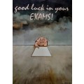 Greeting Card Good Luck in Your Exams