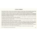 CIS 1988-09-29 Citrus Farming FDC 1.27 (42 000) [SACC R7]