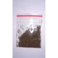 Tobacco Seeds (Golden Virginia)