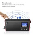 Avantree 3 in 1 Portable Bluetooth Speaker with FM Radio