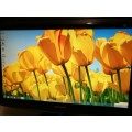 Samsung B2430H 24-Inch Widescreen LCD Monitor - Glossy Black