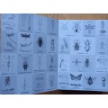 Field Guide to Insects of South Africa by Mike Picker, Charles Griffiths and Alan Weaving