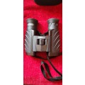 Steiner 10x26 Safari Binoculars in Canvas Case