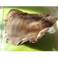 RESERVED - Petrified Wood Specimen - 9cm long - 314g - African Fossilized wood