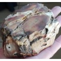 RESERVED - Petrified Wood Specimen - 9cm long - 314g - African Fossilized wood