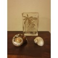 Ornamental Set with the Most Gorgeous Seashells