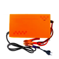 12V 30A Intclligent Pulse Charger Battery Charger