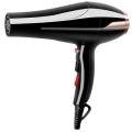 Professional Hair Dryer 3-In-1 4800W