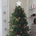 Christmas Tree Top Led Star White 15cm