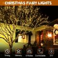 Led Interconnected Black Wire Fairy Light Warm White 10M