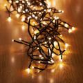 Interconnect Black Wire Fairy Light Warm White 20MCold white