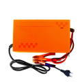 Smart Pulse Charger Battery Charger