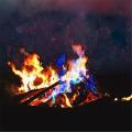 Super Convenient Magic Fire Colorful Flame Powder Campfire Sachet Skills Outdoor Camping Hiking Surv