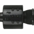 High-Looking Wireless Bt Karaoke Microphone Usb Speaker Condenser Ktv Handheld Microphone (Random Co