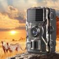 Easy To Use Trail Camera Forest Camera Tracking Game Ip66 Night Vision Hunting Camera