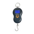 Digital Lcd Portable Electronic Hook Luggage Scale Weight 50kg/10g (Random Color)
