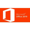 Microsoft Office 2019 Professional Plus DVD